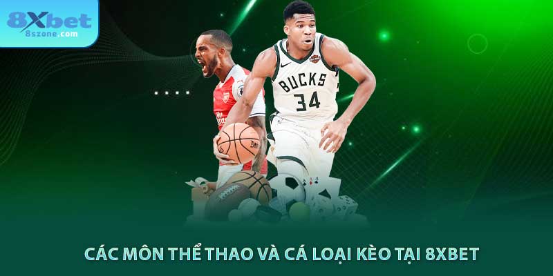 CMD Thể Thao 8xbet - Nền Tảng Cá Cược Thể Thao Uy Tín 13 Các môn thể thao và cá loại kèo tại 8xbet